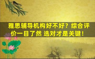 雅思辅导机构好不好？综合评价一目了然 选对才是关键！